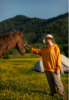 Does NSAIDs Raise Creatinine Horses